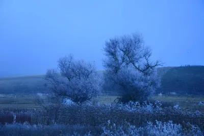 DSC_0999 (Large).JPG